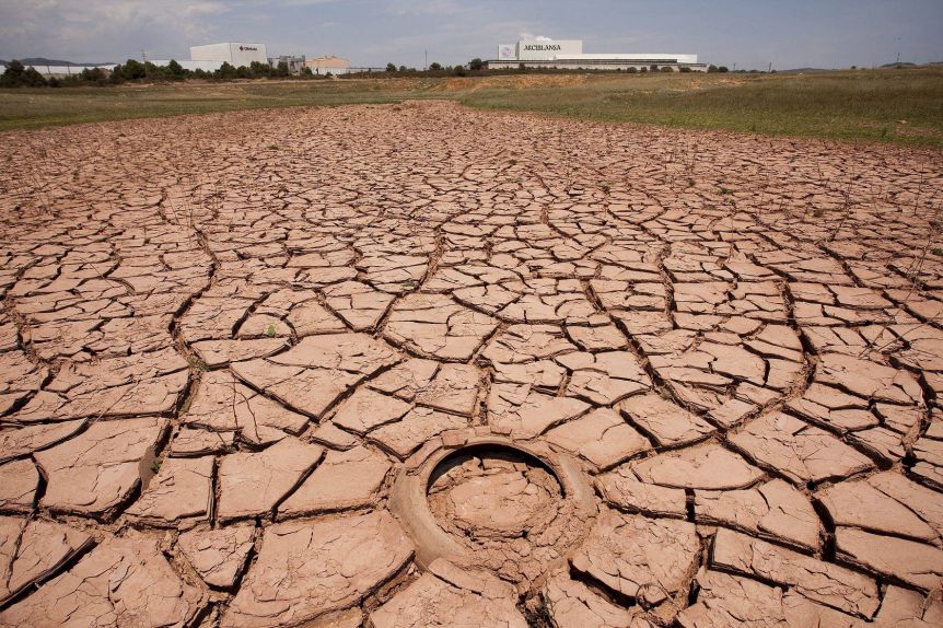 Saavedra y Villarino, declarados en estado de emergencia agropecuaria por sequía