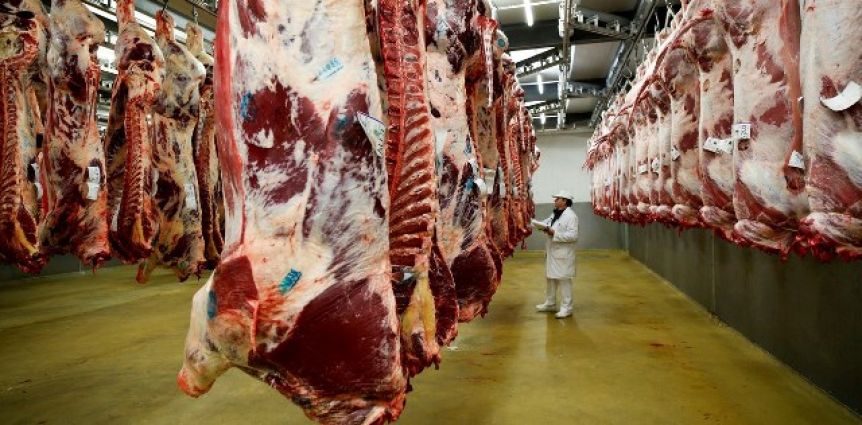 Legislatura: el oficialismo busca garantizar acceso a la carne a precio justo