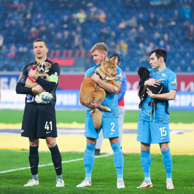 Gran gesto: entraron a la cancha con perros en brazos para fomentar la adopción
