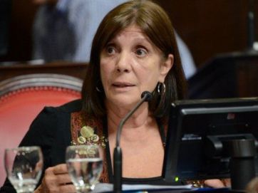 Incertidumbre con la ley de leyes: qué dice la oposición y cuál es la expectativa oficialista