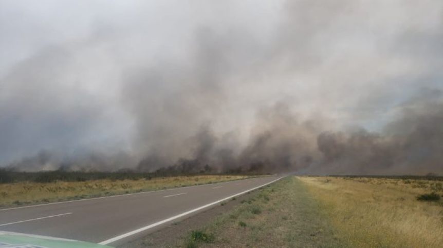 Alerta: se activó el incendio al norte de Puerto Madryn