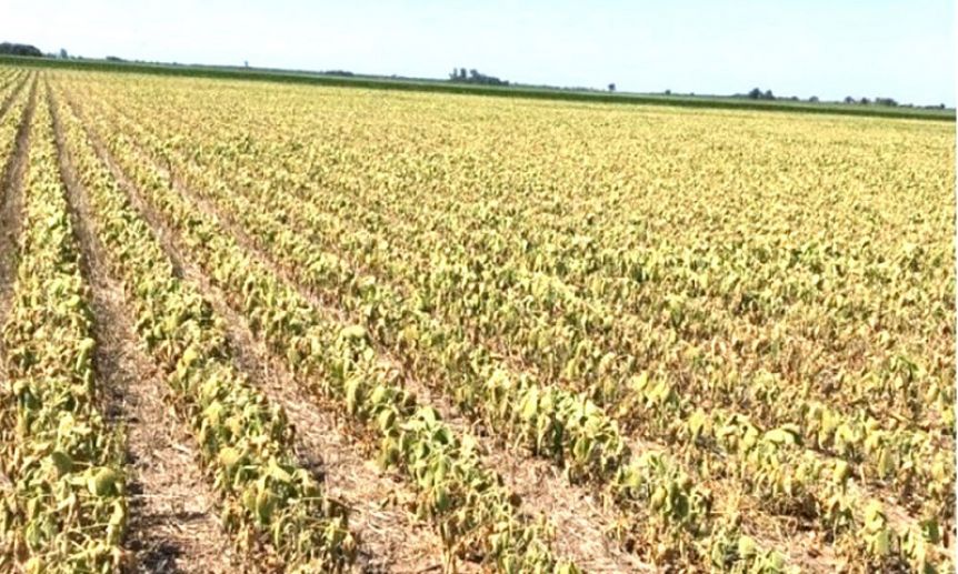Crece la presión legislativa y la oposición apura por la emergencia agropecuaria
