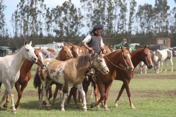 La encrucijada de las fiestas populares