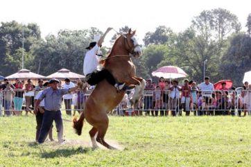 La encrucijada de las fiestas populares