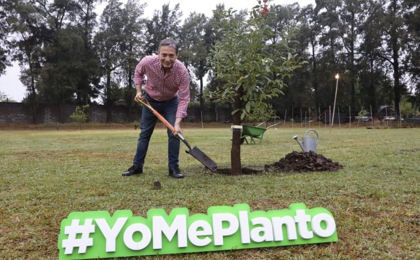 Tras la renuncia, Gray volvió a apuntar a Máximo:
