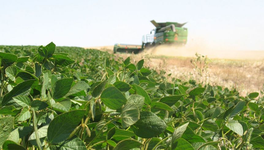 Conflicto en puerta con el campo: anuncian el cierre de las exportaciones de aceite de soja