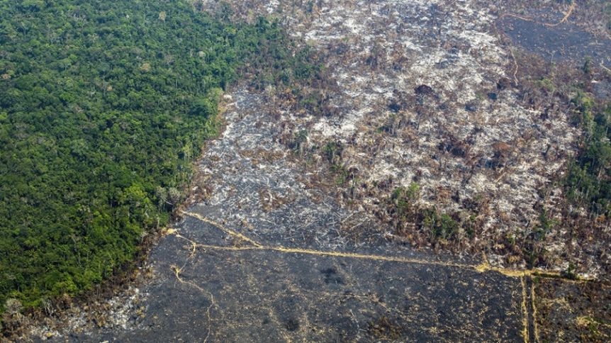 Brasil: aparecieron con vida dos hermanitos que se perdieron por 26 días en el Amazonas