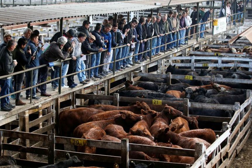 Vuelven a postergar el traslado del Mercado de Hacienda a Cañuelas