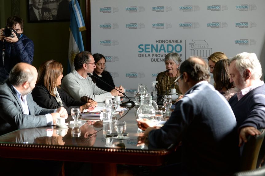 La Cámara alta avanzó con la composición de otras cuatro comisiones