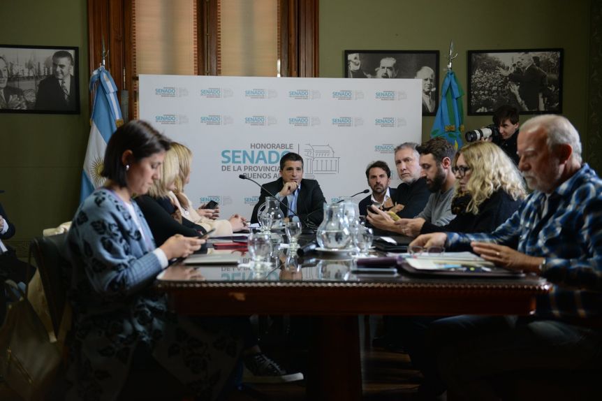 Las comisiones rezagadas del Senado bonaerense ponen primera esta semana