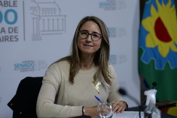 La semana que viene, una comisión vuelve a la carga con un importante proyecto