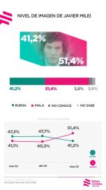 Dos sondeos revelan los motivos de la caída de la imagen de Javier Milei