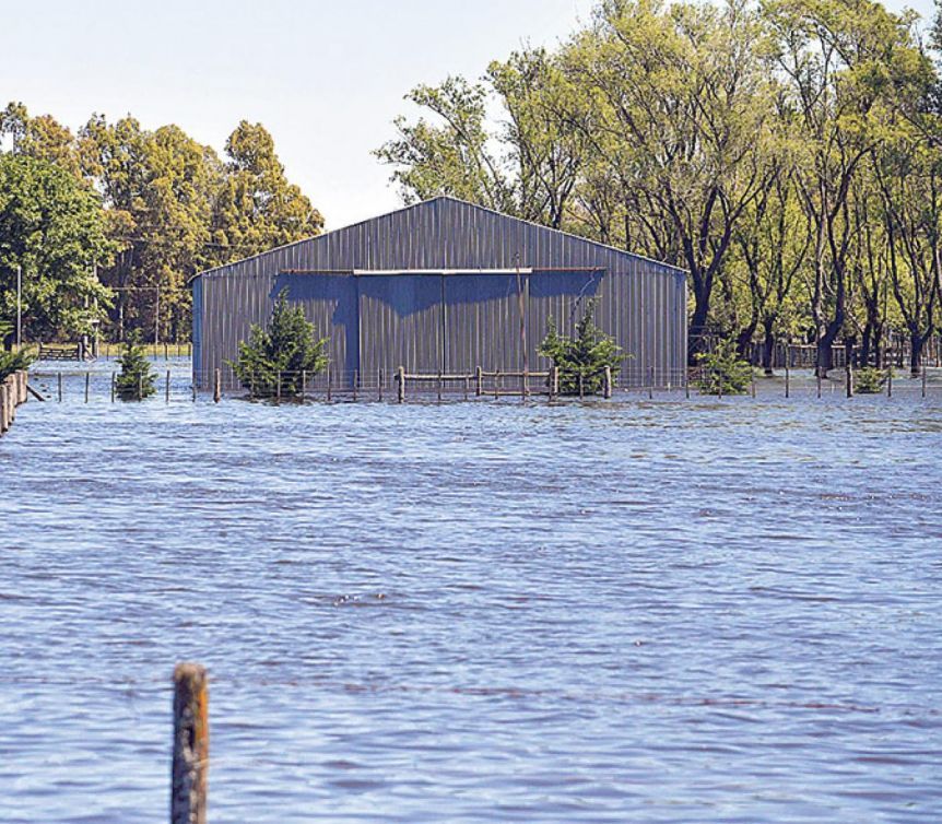 Emergencia y desastre agropecuario: dos distritos más se suman a lista