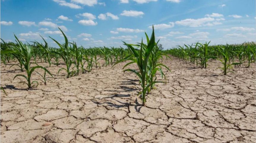 Distrito opositor del interior fue declarado en estado de emergencia agropecuaria