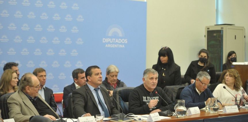 Diputados avanza en el proyecto de Ley de Industria Automotriz