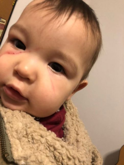 Relato salvaje: diputada radical contó el violento robo a su hermana y su sobrino