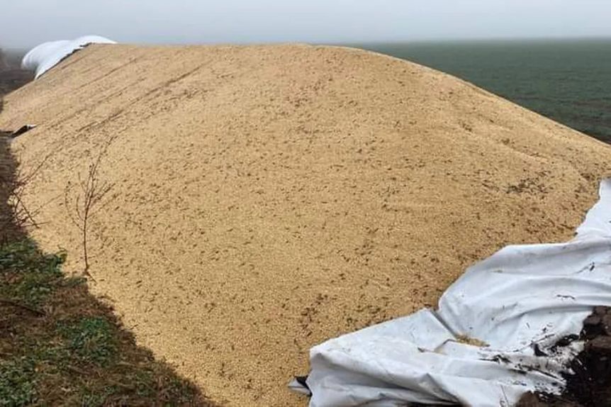 Sociedades Rurales de la Provincia se organizan para custodiar los silos bolsa