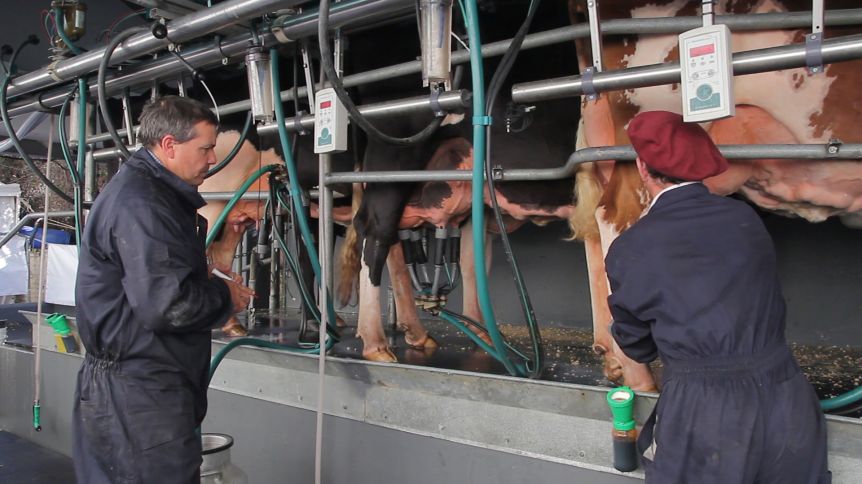 Productores rurales bonaerenses, entre cepos y aprietes
