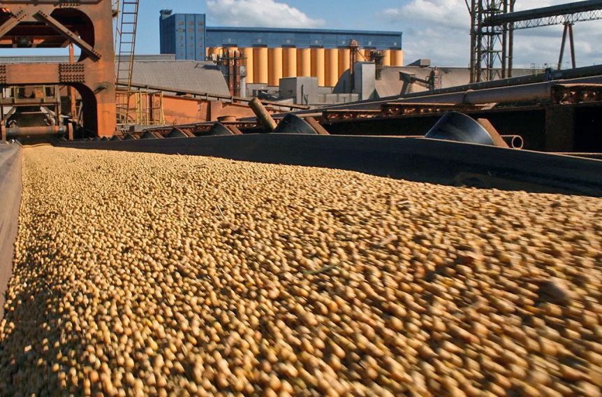Nuevo cepo al dólar: ahora el Gobierno aseguró que la medida no alcanza a productores