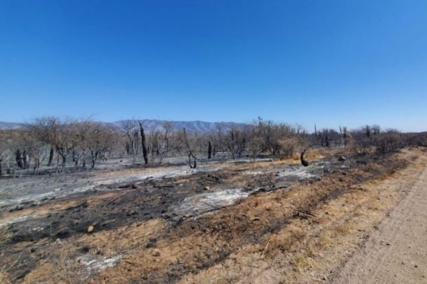 Un adolescente perdió la vida en medio de un incendio forestal en Córdoba