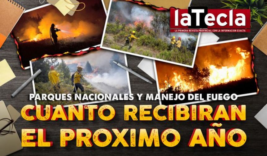 Parques Nacionales y Manejo del Fuego: cuánto recibirán el año que viene