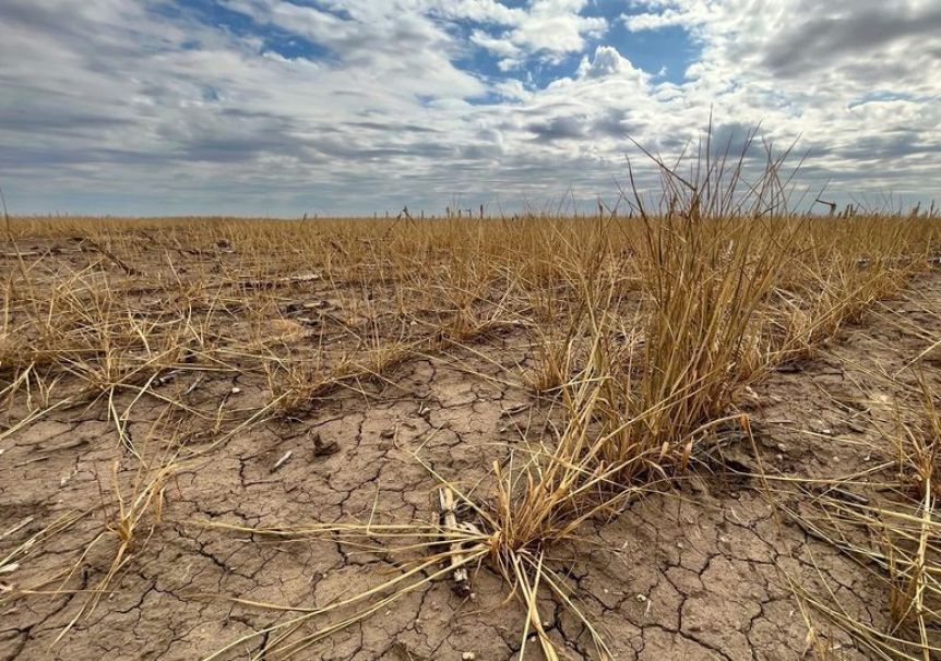 La sequía se extiende al norte y tres municipios más pedirán la emergencia agropecuaria