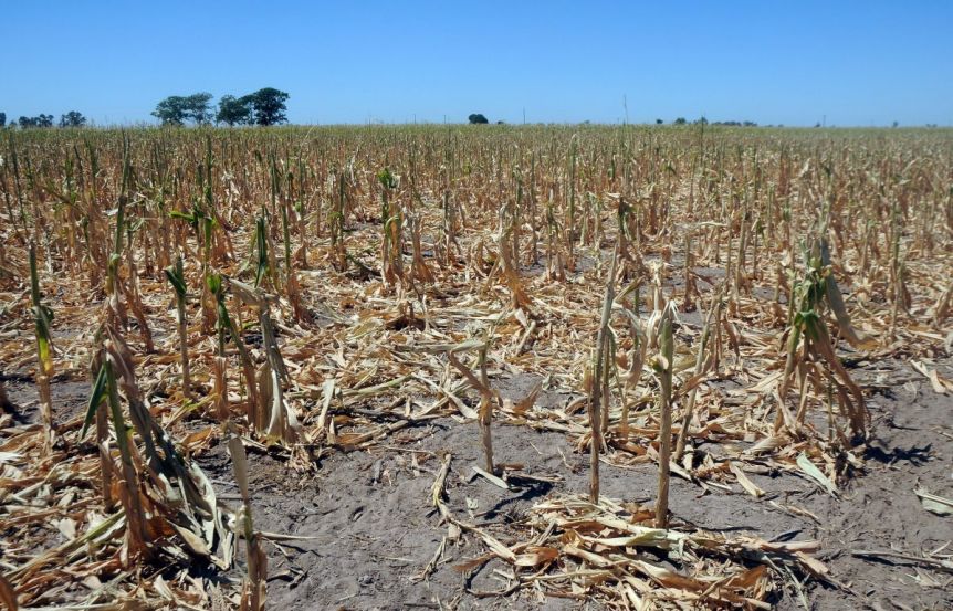Suman a un municipio de la Cuarta a la Emergencia Agropecuaria