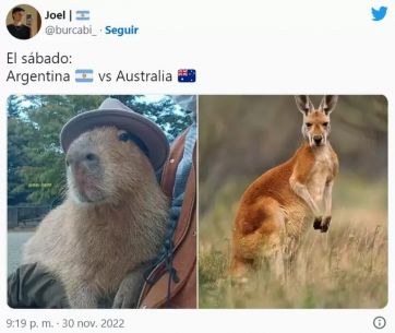 Los mejores memes después del triunfo de la Scaloneta ante Australia