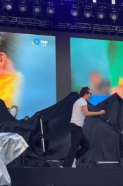Harry Styles sorprendió con su aparición en el escenario festejando el triunfo argentino