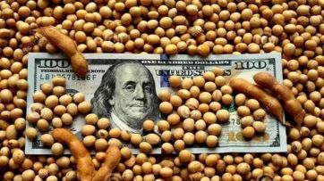 Tiempo de balances: el 2022, bajo la lupa