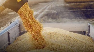 Tras la mejora de noviembre, cómo se perfila la inflación de cara al 2023:¿En alza o en baja?