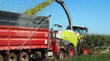 Tras la mejora de noviembre, cómo se perfila la inflación de cara al 2023:¿En alza o en baja?