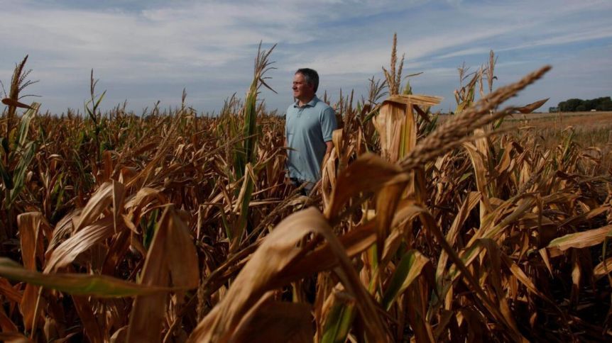 La peor sequía del siglo: crece la preocupación de los productores bonaerenses