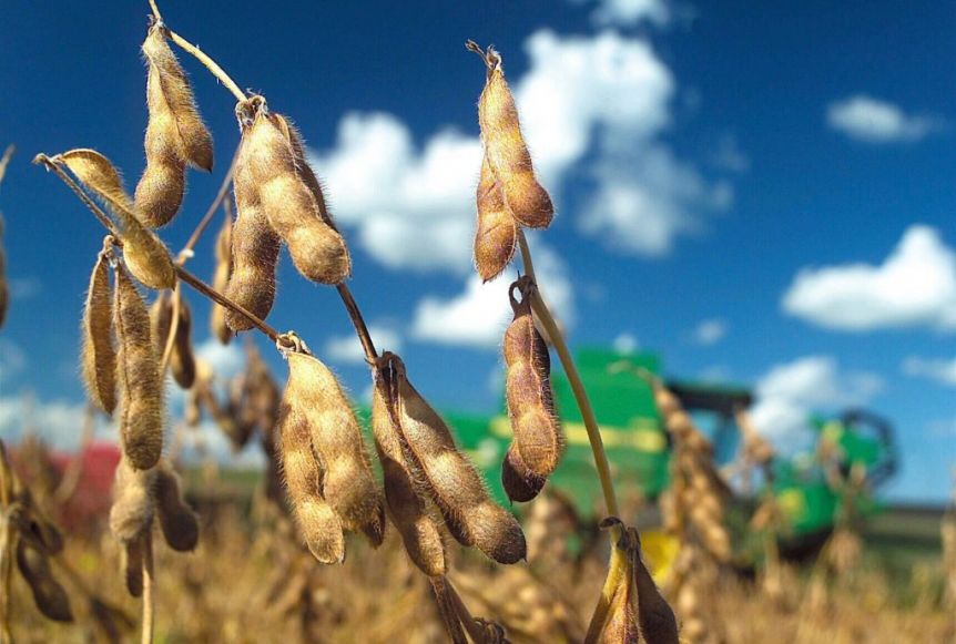 El campo bonaerense presiona para que Nación declare la emergencia agropecuaria