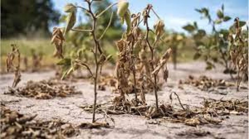 Emergencia agropecuaria: dos prórrogas en la Cuarta y un OK en la Quinta