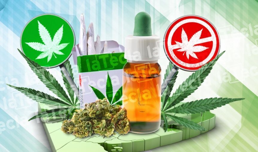 Cannabis Medicinal: Nación puso primera con una Agencia a cargo de un intendente bonaerense
