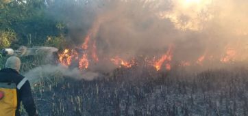 Un impresionante incendio se desató en la Reserva Natural de Punta Lara