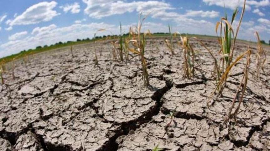 Nación, al rescate de productores en 13 municipios bonaerenses: qué beneficios tendrán