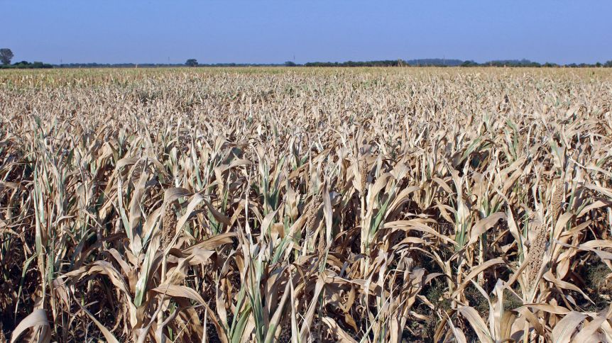 A tres días de la marcha, productores arremetieron contra Nación