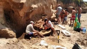 Importante hallazgo de dos niños en Mar del Plata: fósiles de 5 millones de años de antigüedad