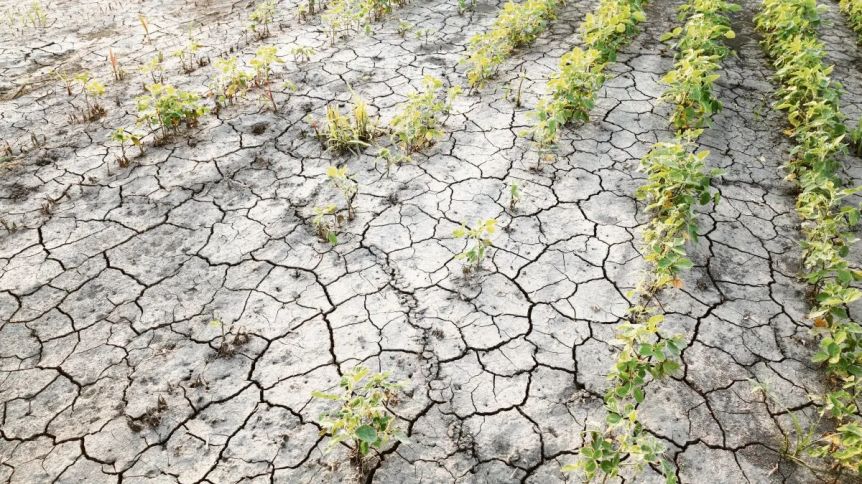 Nación sale al rescate y declara la emergencia por sequía en más de 60 distritos