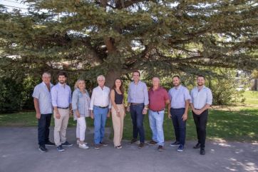 Candidatos Neuquén: qué harán si resultan electos