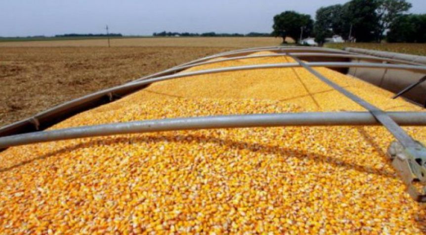 Otro problema con el campo: paro por tiempo indeterminado