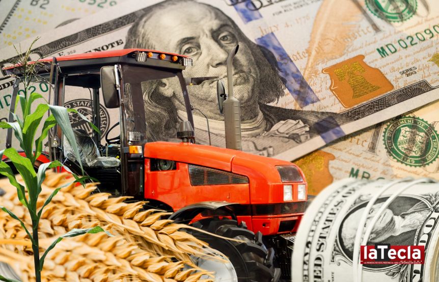 Dólar Agro: posiciones encontradas de una medida que busca un auxilio a la falta de divisas