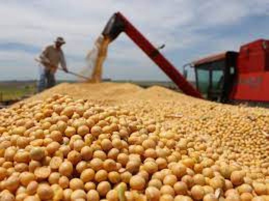 Pataleo del campo: aseguran que el Estado se queda con $80 de cada $100 que produce
