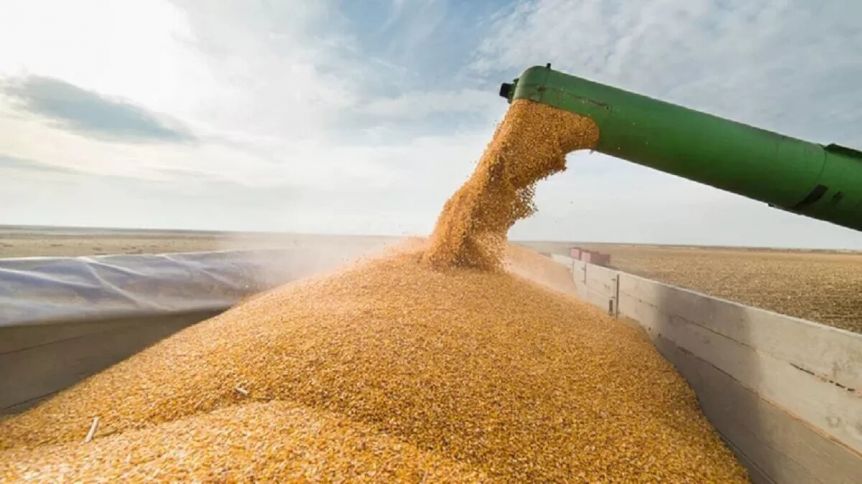 En el país de la soja, el Gobierno deberá importar más de 9 millones de toneladas