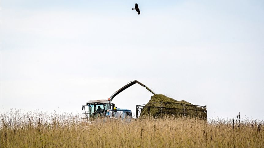 Desde Carbap, cuestionaron al dólar agro y dispararon contra el Gobierno