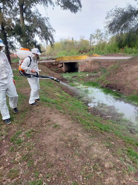 Dengue: Kubar y su equipo realizaron tareas de fumigación en General Rodríguez