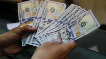 Propuestas electorales: dólar si o no