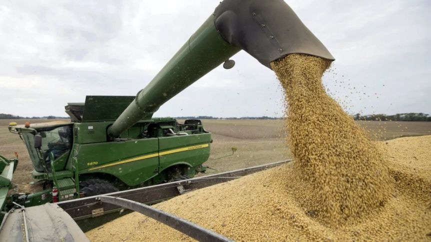 Productores alertan sobre más complicaciones en la agroindustria